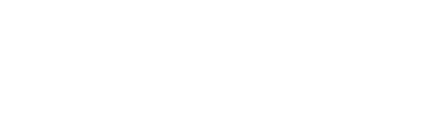 Bidez Financial Group logo